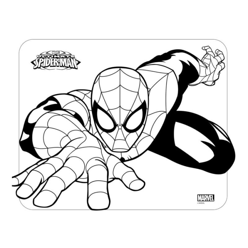 Set 2 Pára Sol + Poster Colorir Spiderman