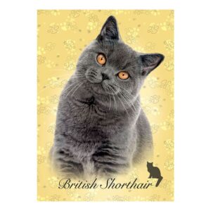 Educa Cat Breeds 100 British Shorthair