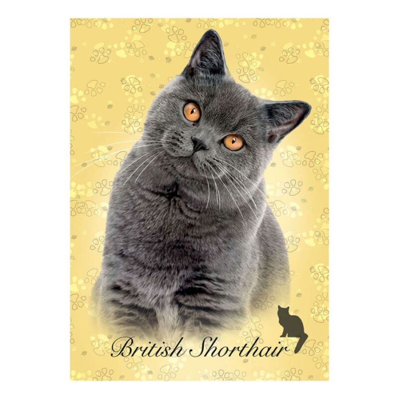 Educa Cat Breeds 100 British Shorthair