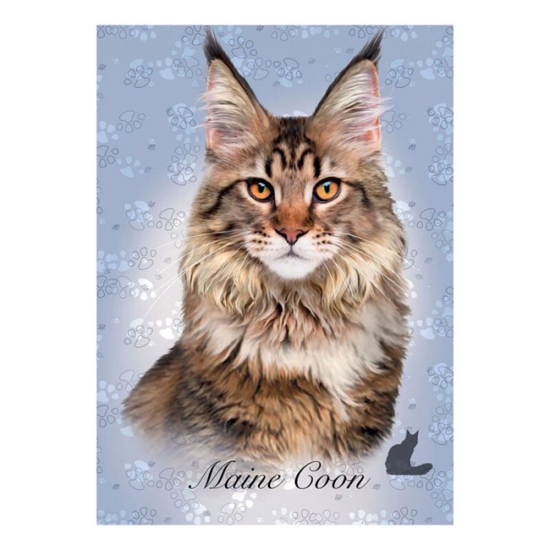 ED18805_1 Educa Cat Breeds 100 Maine Coon