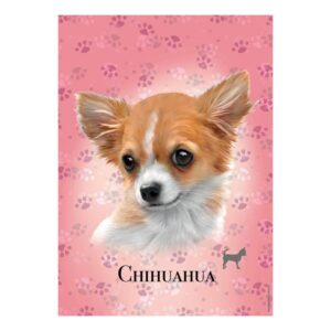 ED18803_1 Educa Dog Breeds 100 Chihuahua