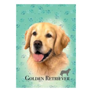 ED18800_1 Educa Dog Breeds 100 Golden Retriever