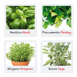 QCT00690_1 GiocaGreen Aprendo a Plantar Ervas Aromáticas