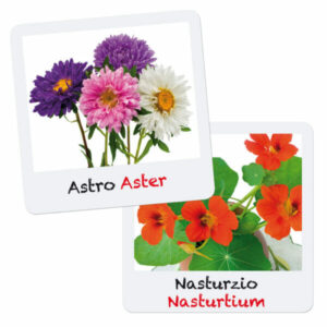 GiocaGreen Aprendo a Plantar Flores (Aster & Outra)