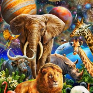 Puzzle Bluebird Beleza universal. 1000 Peças