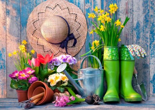 Puzzle Bluebird Pronto para o jardim 2000 Peças