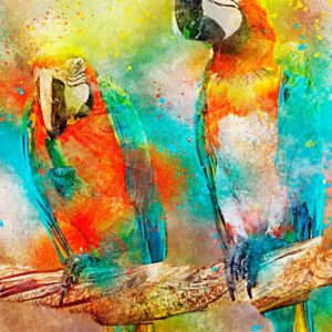 puzzle-bluebird-loros-de-1000-piezas-1-19256 Puzzle Bluebird Loros. 1000 Peças