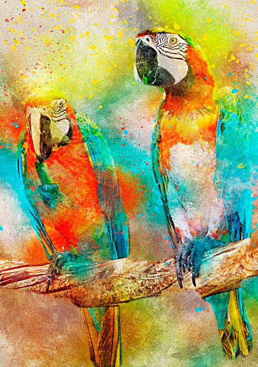 puzzle-bluebird-loros-de-1000-piezas-1-19256 Puzzle Bluebird Loros. 1000 Peças