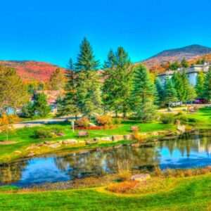 Puzzle Bluebird Stowe, Vermont, Estados Unidos 1000 Peças