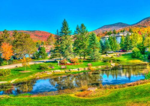 Puzzle Bluebird Stowe, Vermont, Estados Unidos 1000 Peças