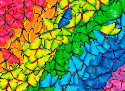 Puzzle Eurographics Arco-íris de Borboletas 1000 Peças