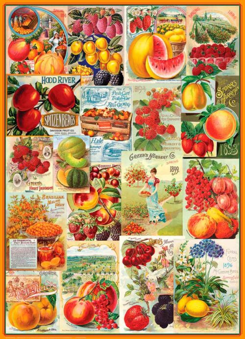 Puzzle Eurographics Catálogos de Sementes de Frutas 1000 Peças