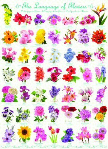 Puzzle Eurographics A Língua das Flores 1000 Peças