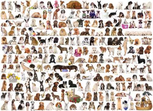 Puzzle Eurographics O Mundo dos Cães 1000 Peças