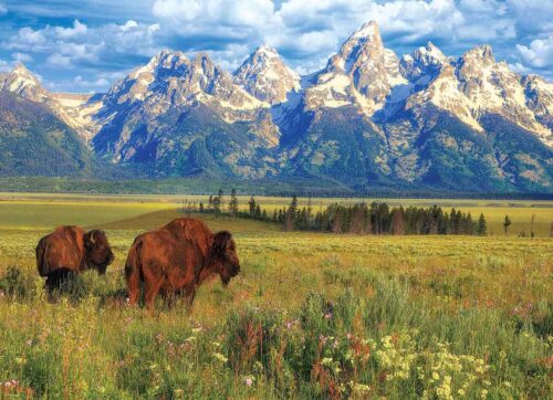 Puzzle Eurographics Parque Nacional Grand Teton 1000 Peças