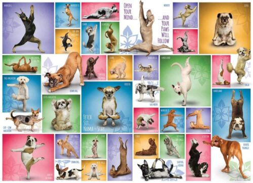Puzzle Eurographics Cães de Yoga 1000 Peças