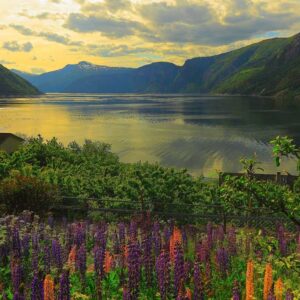 Puzzle Ravensburger Fjord na Noruega de 1000 Peças