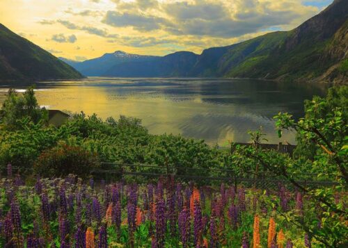 puzzle-ravensburger-fiordo-en-noruega-de-1000-piezas-1-21564 Puzzle Ravensburger Fjord na Noruega de 1000 Peças