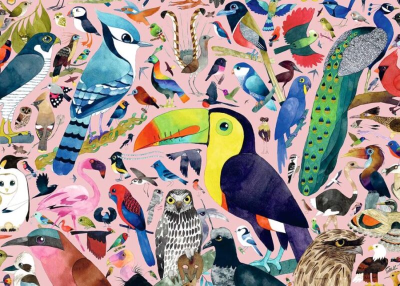 Puzzle Ravensburger Pássaros Incríveis 1000 Peças