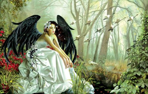 Puzzle SunsOut Canto do Cisne 1000 Peças