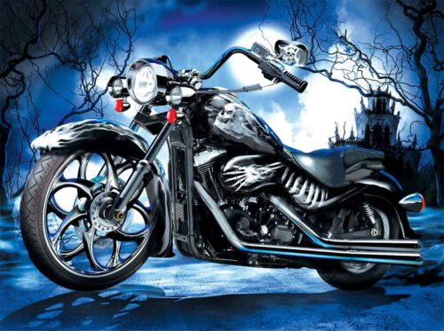 Puzzle SunsOut Motocicleta Esqueleto 1000 Peças